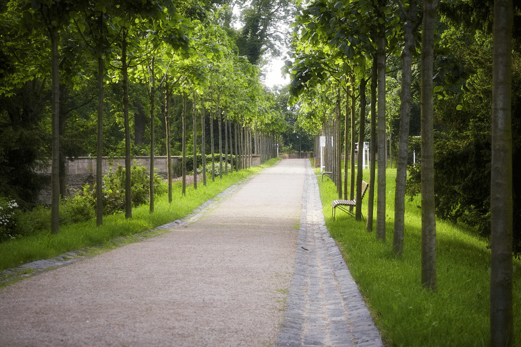 garten1